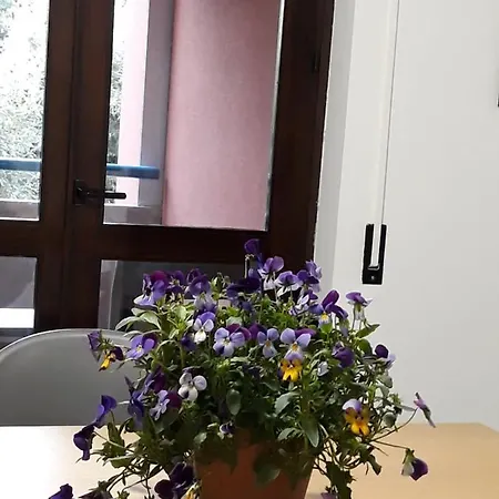 Apartamento Il Ciclamino