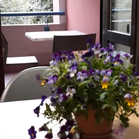 Apartmán Il Ciclamino