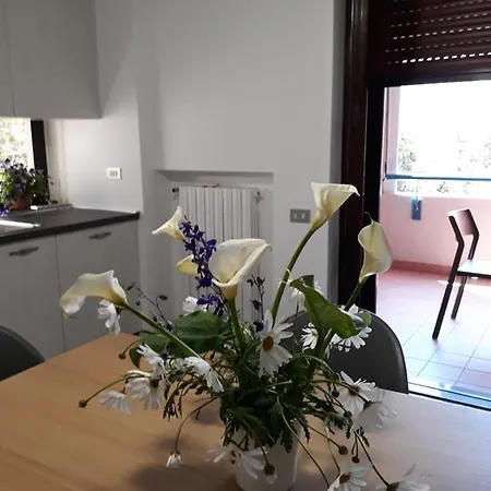 Il Ciclamino Apartment Monopoli